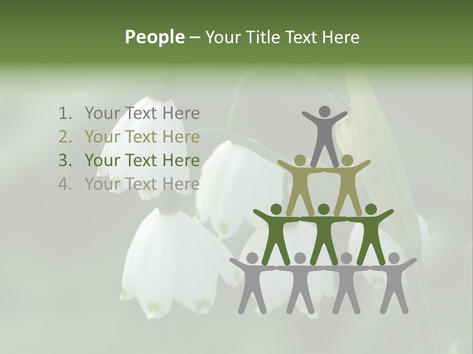 Pflanze Weiss Winter PowerPoint Template