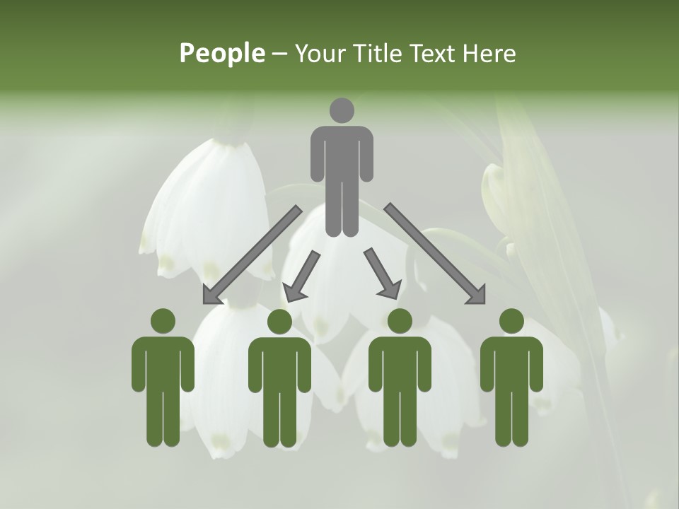 Pflanze Weiss Winter PowerPoint Template