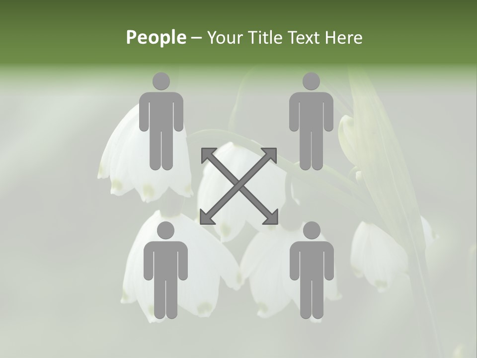 Pflanze Weiss Winter PowerPoint Template