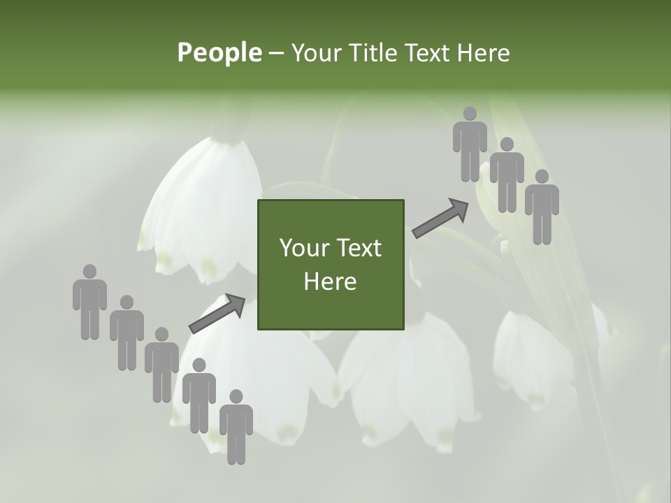 Pflanze Weiss Winter PowerPoint Template