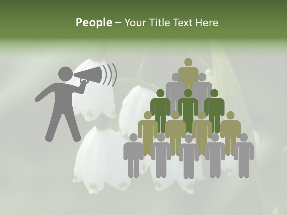 Pflanze Weiss Winter PowerPoint Template