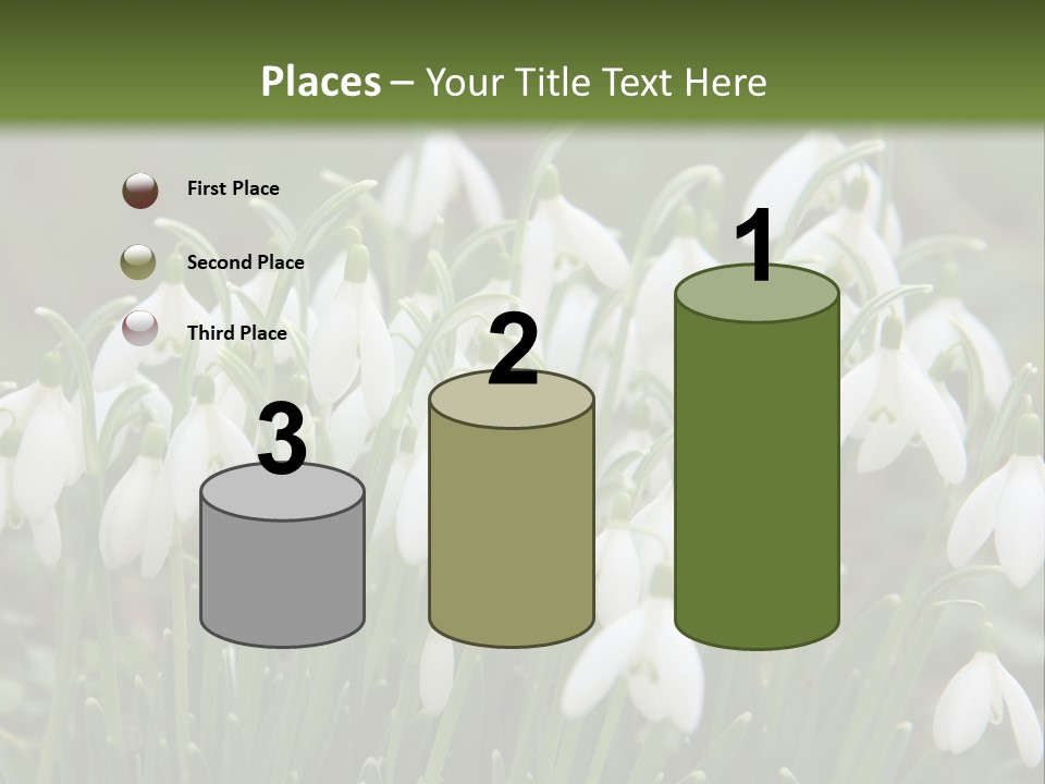 Wild February Love PowerPoint Template