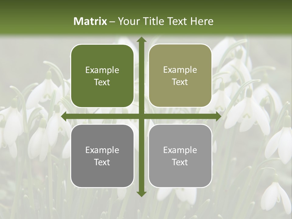 Wild February Love PowerPoint Template