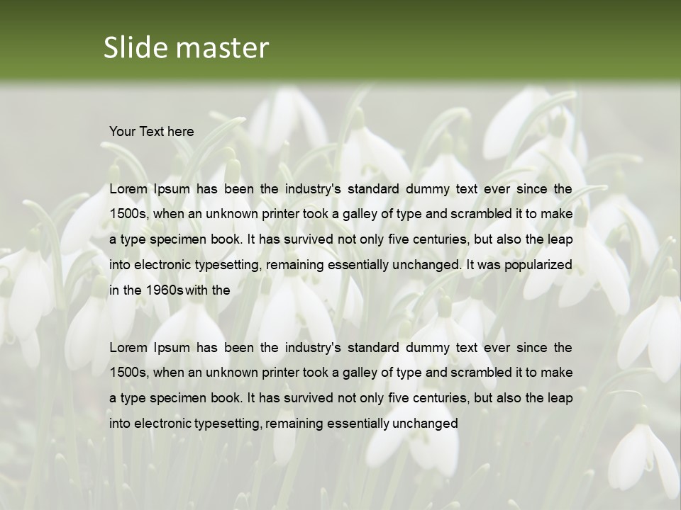 Wild February Love PowerPoint Template