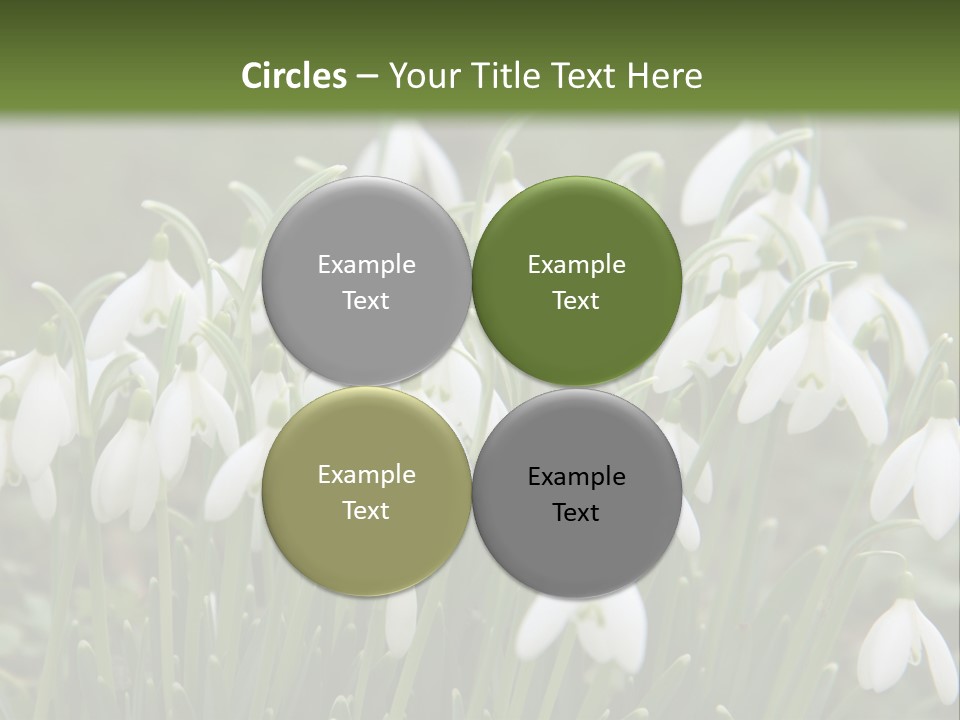 Wild February Love PowerPoint Template