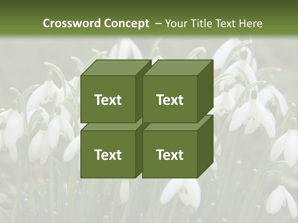 Wild February Love PowerPoint Template