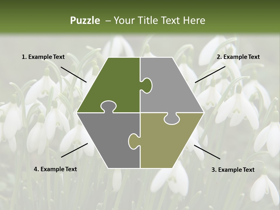 Wild February Love PowerPoint Template