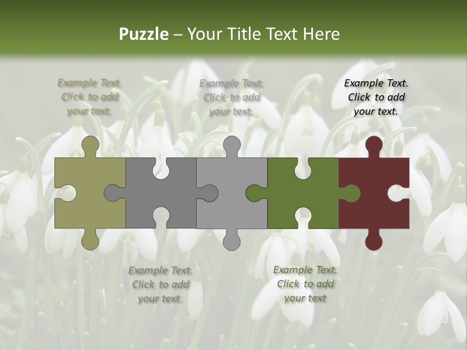 Wild February Love PowerPoint Template