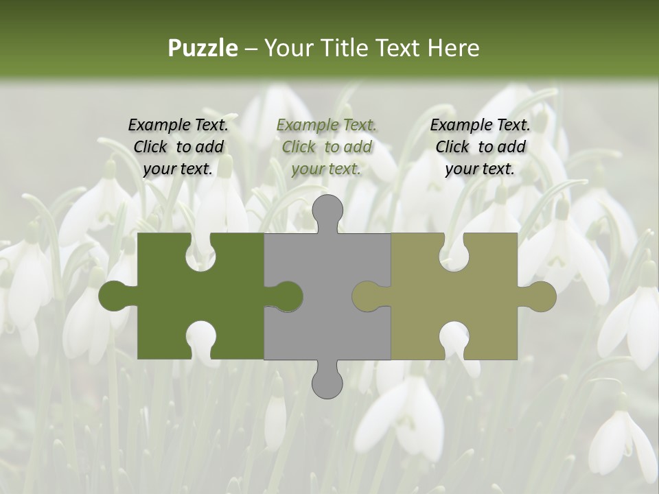 Wild February Love PowerPoint Template