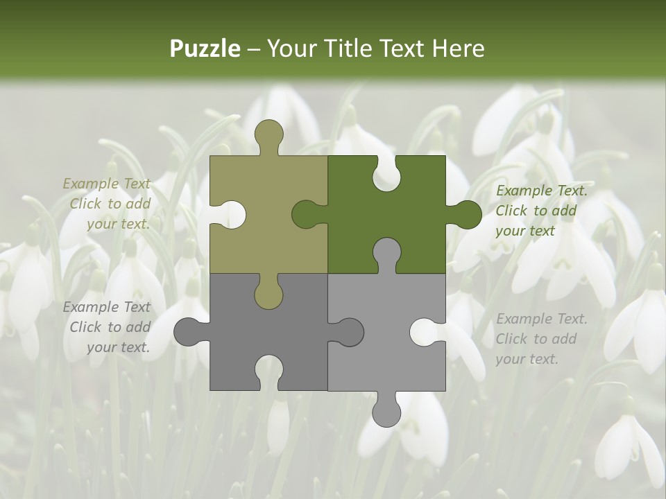 Wild February Love PowerPoint Template