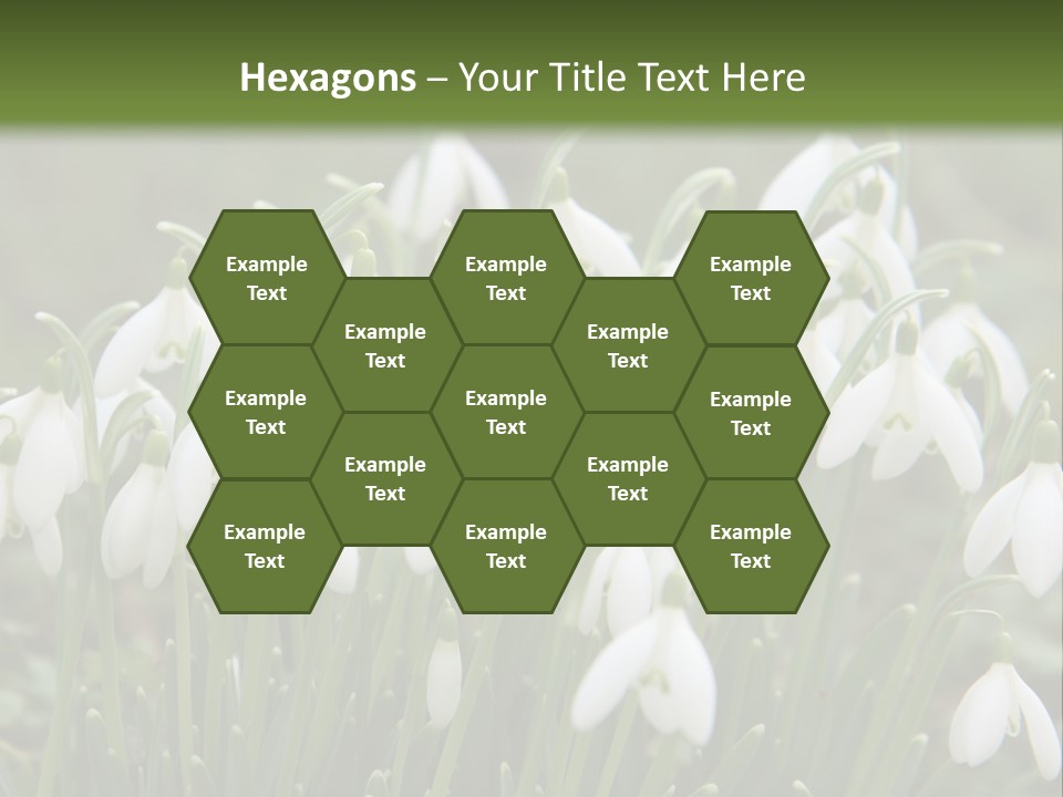 Wild February Love PowerPoint Template