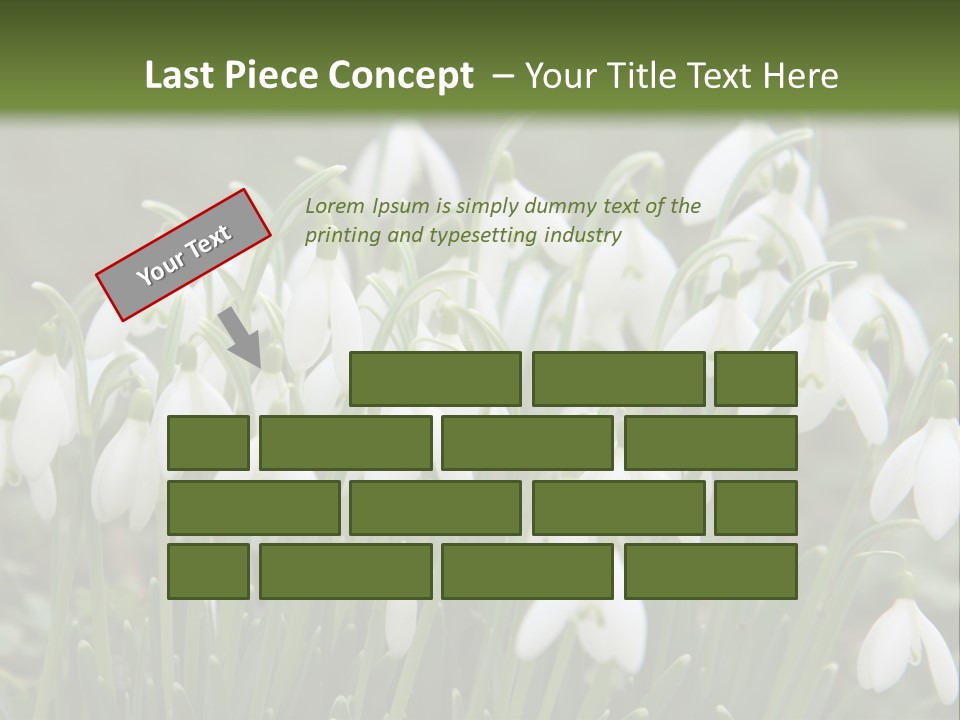 Wild February Love PowerPoint Template