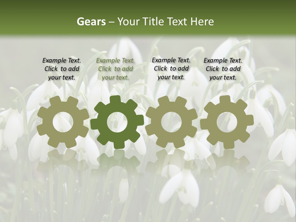 Wild February Love PowerPoint Template