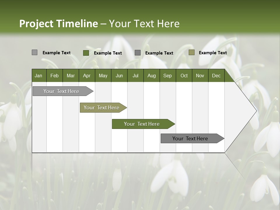 Wild February Love PowerPoint Template