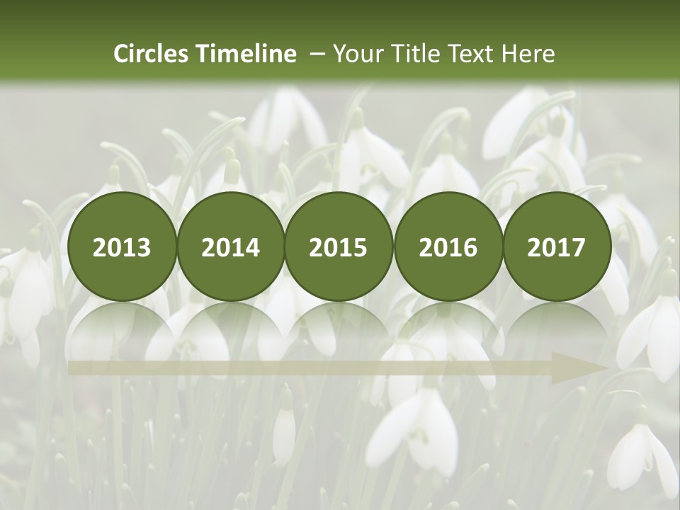 Wild February Love PowerPoint Template