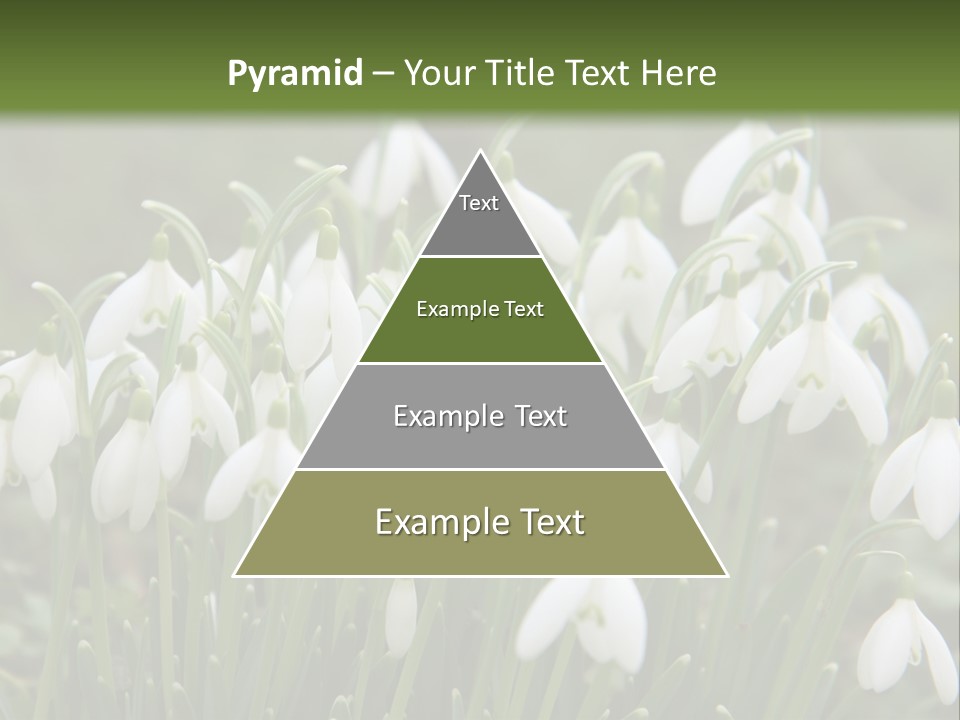 Wild February Love PowerPoint Template