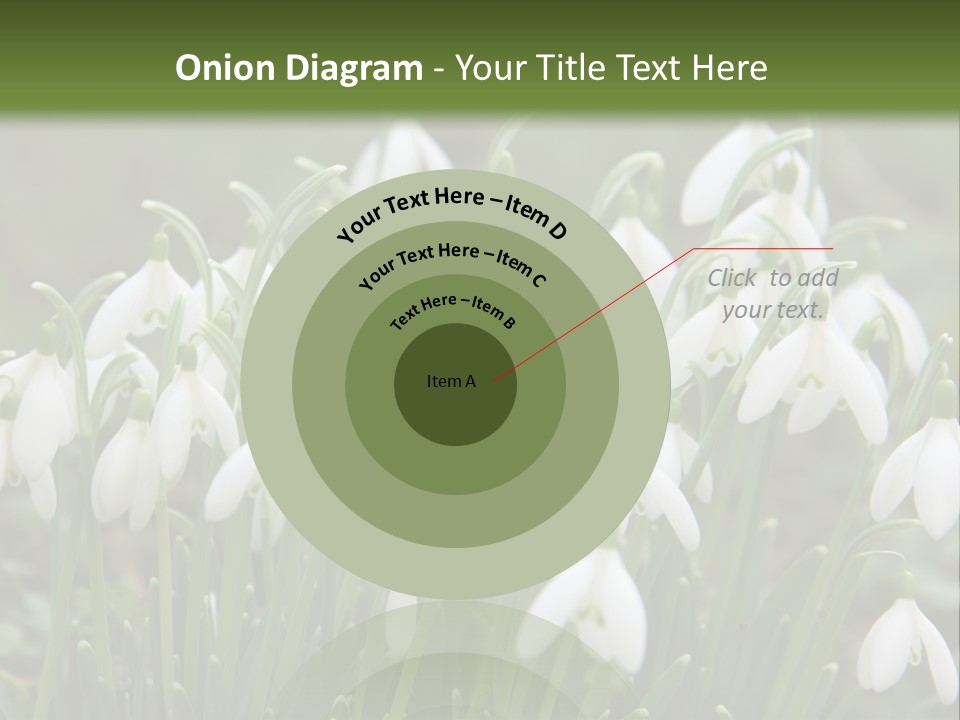 Wild February Love PowerPoint Template