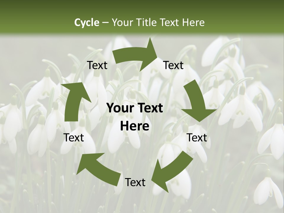 Wild February Love PowerPoint Template