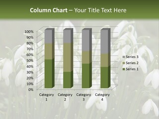 Wild February Love PowerPoint Template