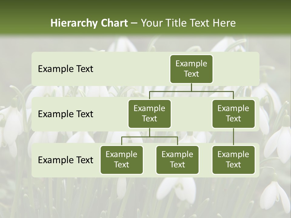 Wild February Love PowerPoint Template