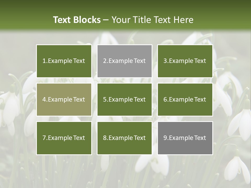 Wild February Love PowerPoint Template