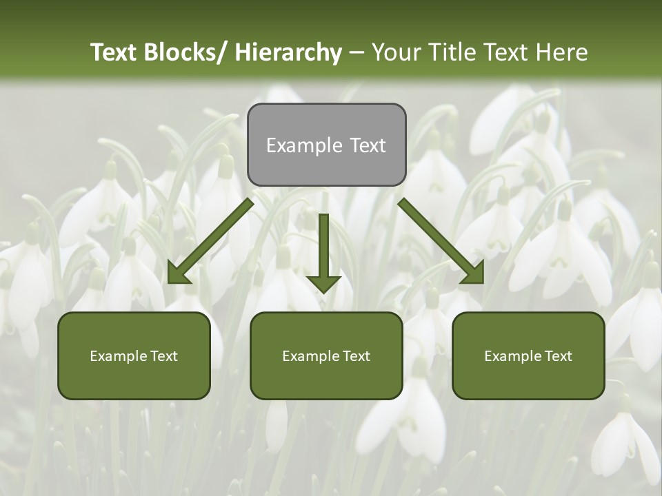 Wild February Love PowerPoint Template