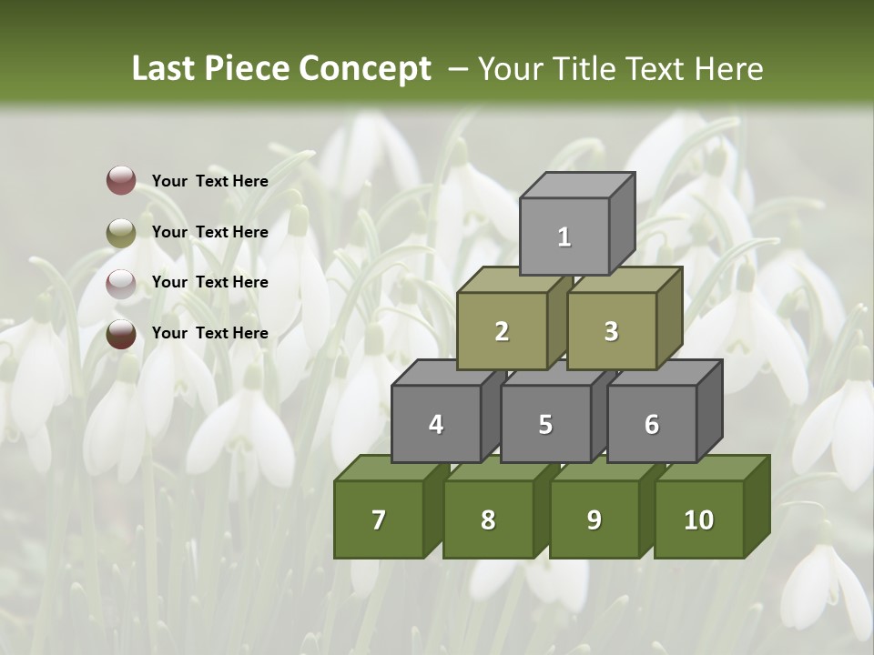 Wild February Love PowerPoint Template