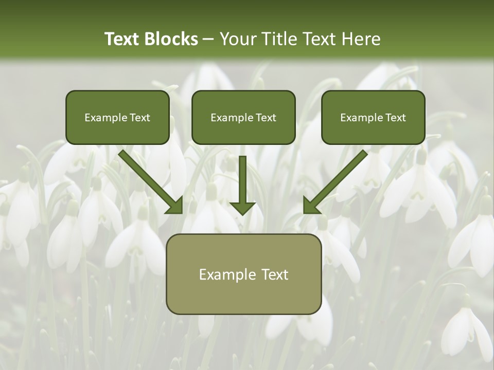Wild February Love PowerPoint Template