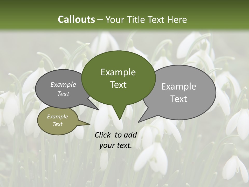 Wild February Love PowerPoint Template