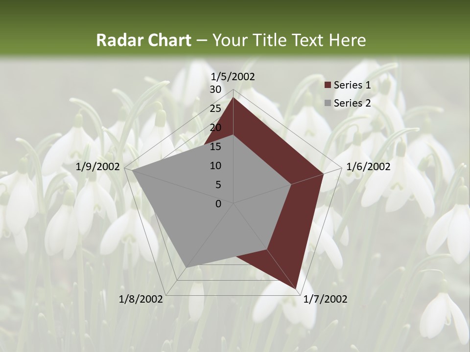 Wild February Love PowerPoint Template
