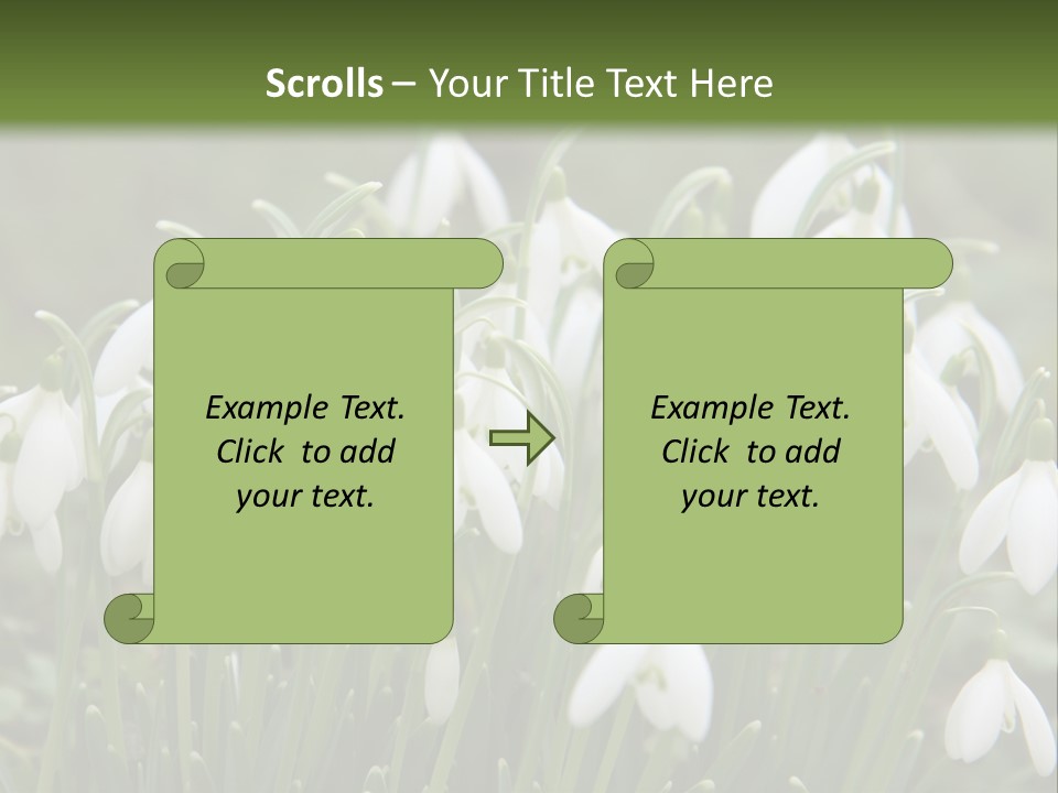 Wild February Love PowerPoint Template