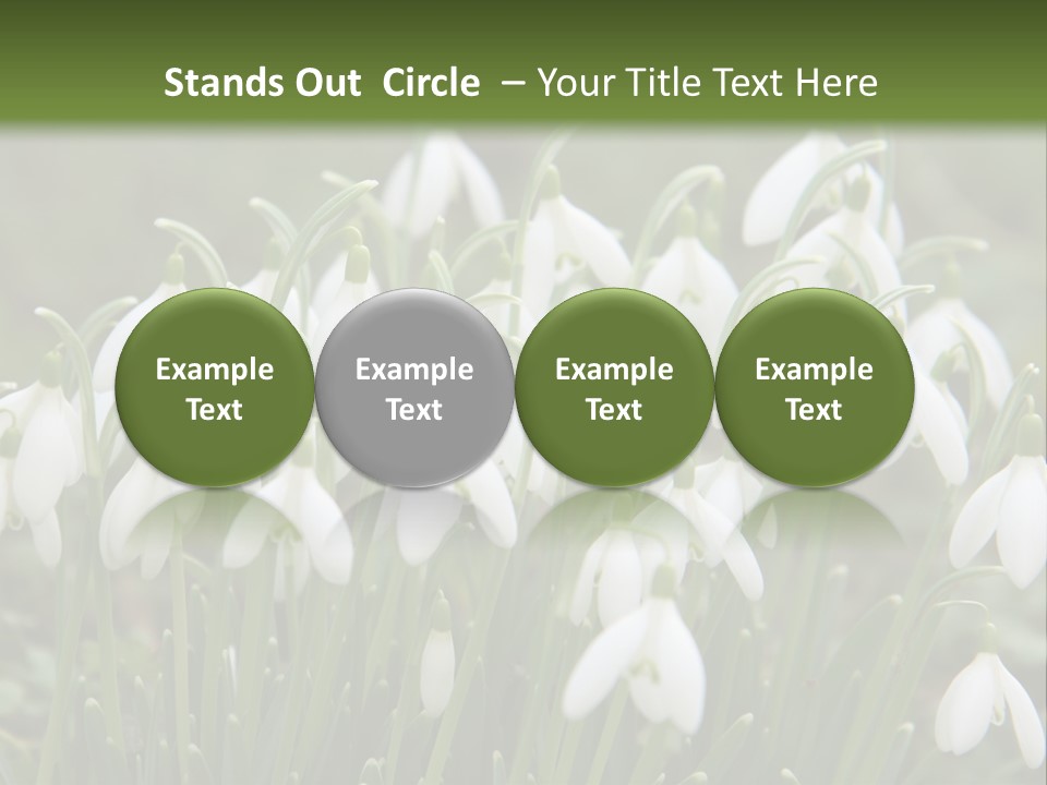 Wild February Love PowerPoint Template