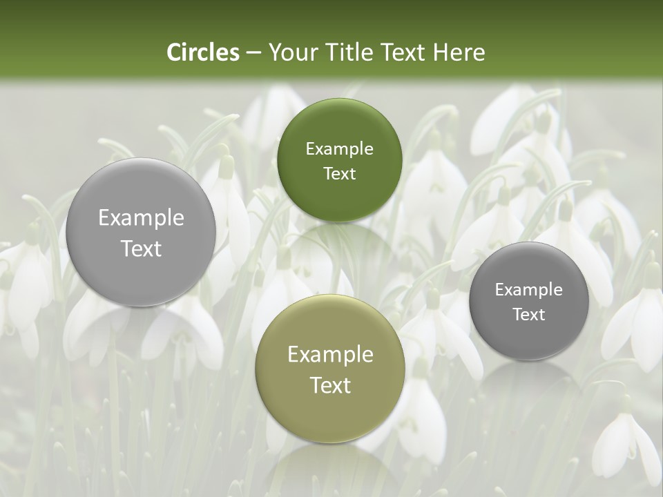 Wild February Love PowerPoint Template