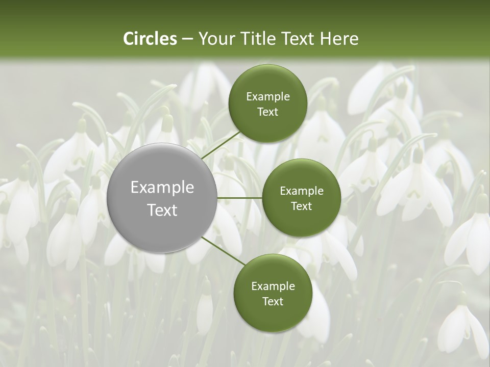 Wild February Love PowerPoint Template