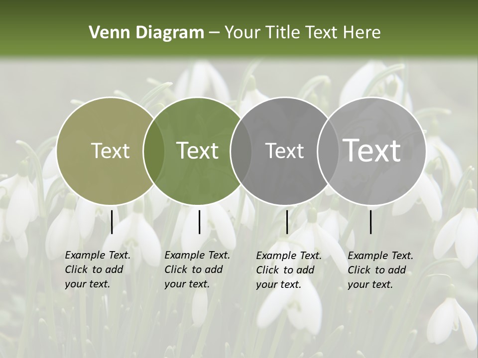 Wild February Love PowerPoint Template