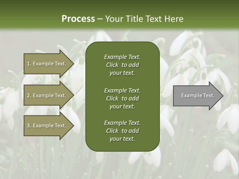 Wild February Love PowerPoint Template