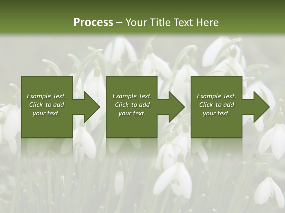 Wild February Love PowerPoint Template