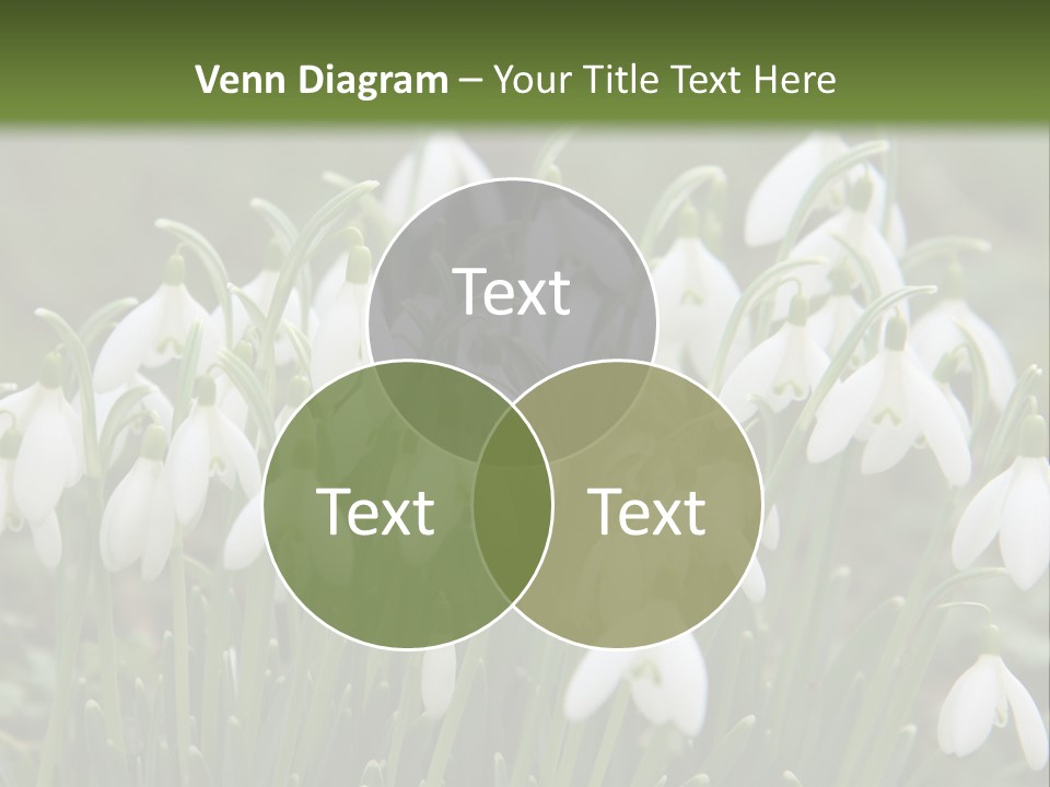 Wild February Love PowerPoint Template