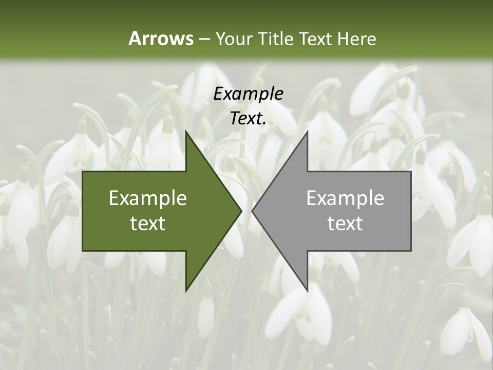 Wild February Love PowerPoint Template