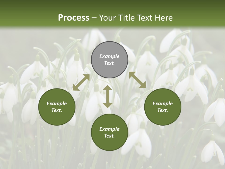 Wild February Love PowerPoint Template