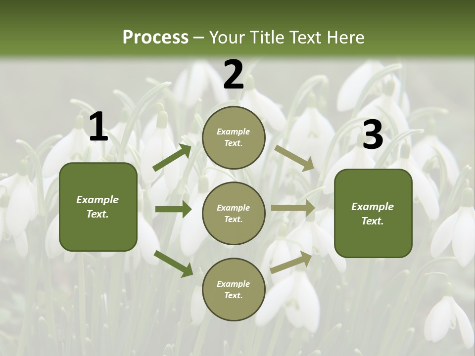 Wild February Love PowerPoint Template