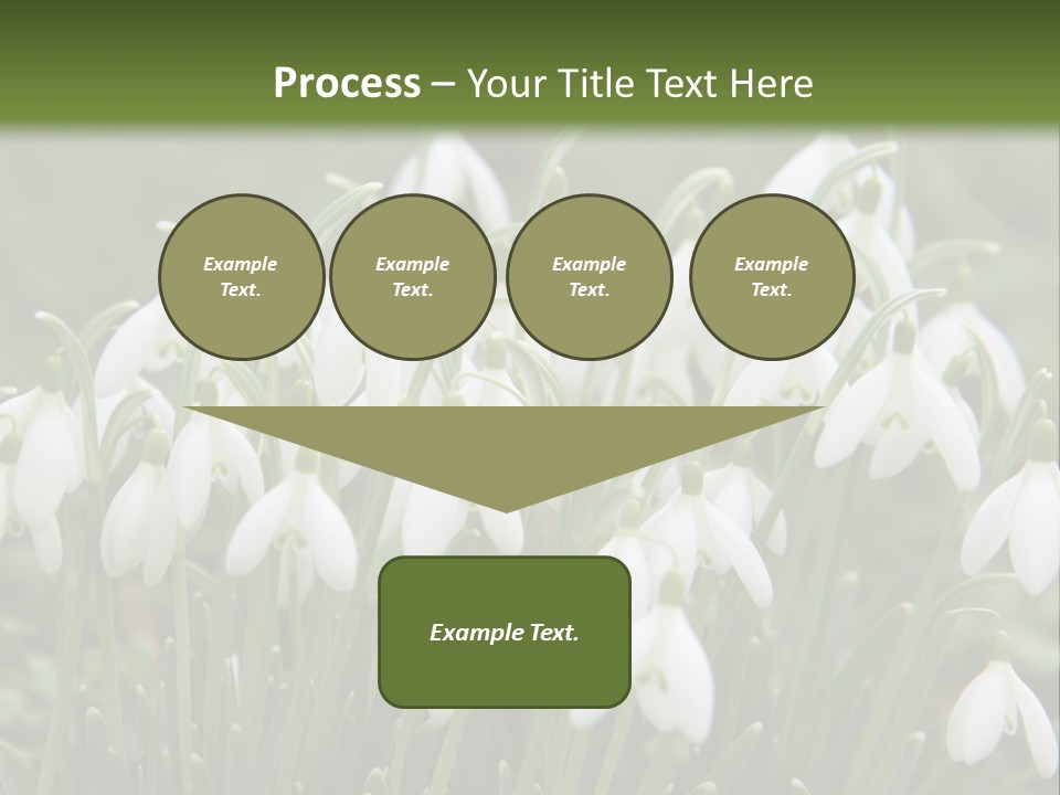 Wild February Love PowerPoint Template