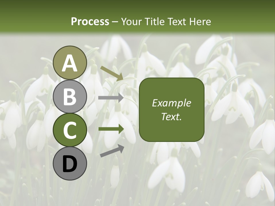 Wild February Love PowerPoint Template