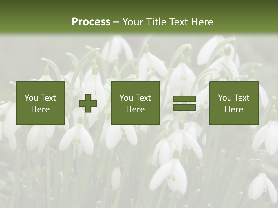 Wild February Love PowerPoint Template