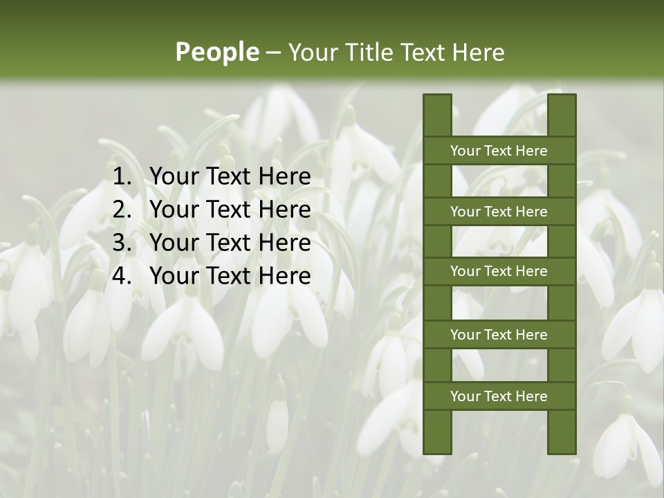 Wild February Love PowerPoint Template