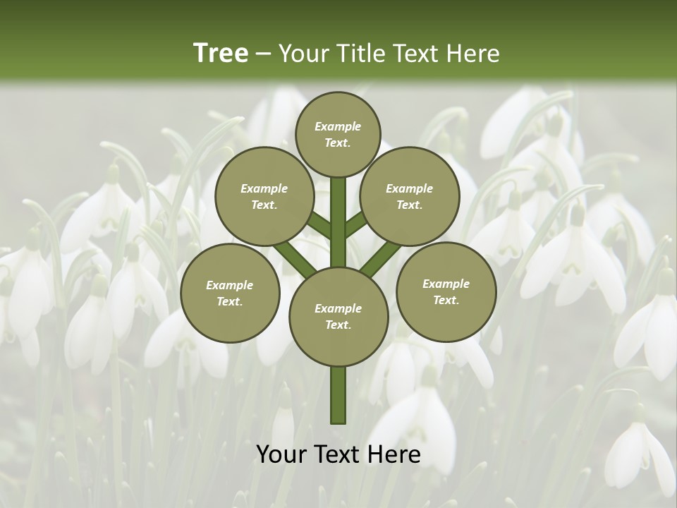 Wild February Love PowerPoint Template