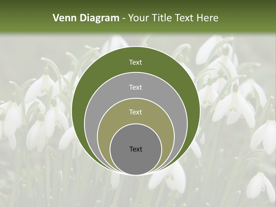 Wild February Love PowerPoint Template