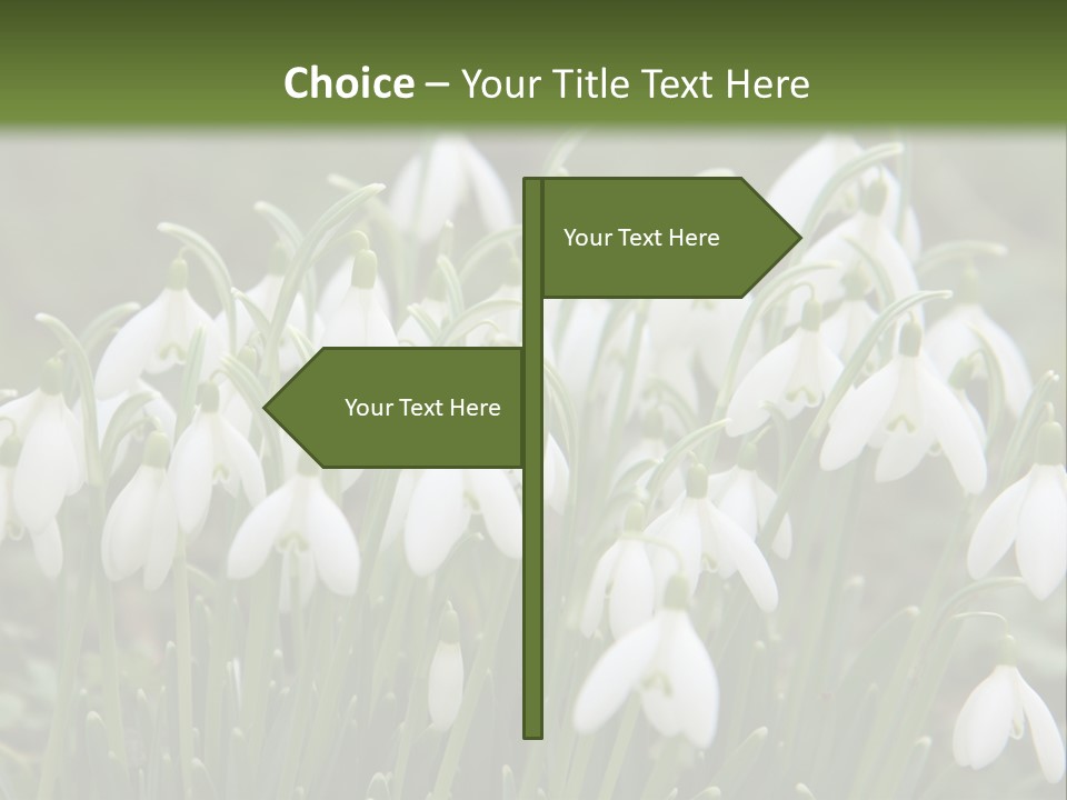 Wild February Love PowerPoint Template