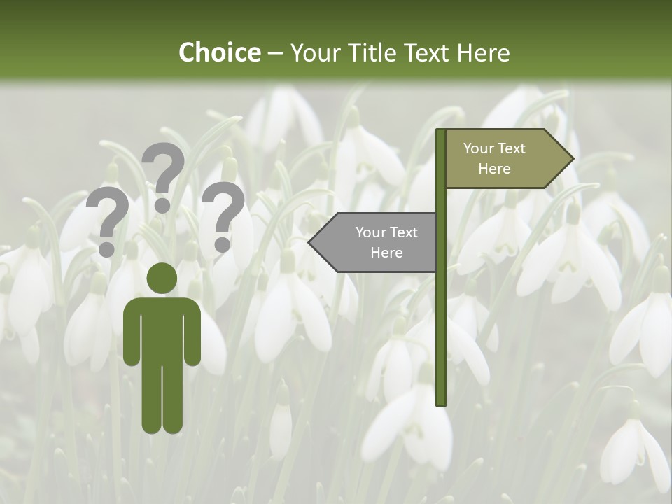 Wild February Love PowerPoint Template