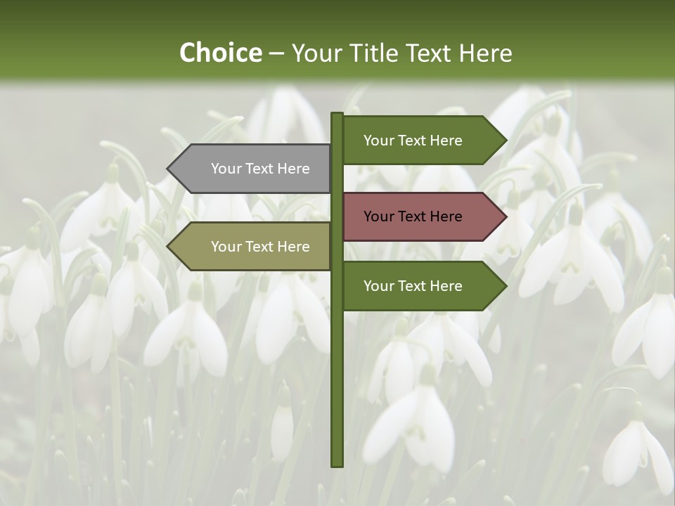 Wild February Love PowerPoint Template
